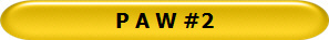 P A W #2